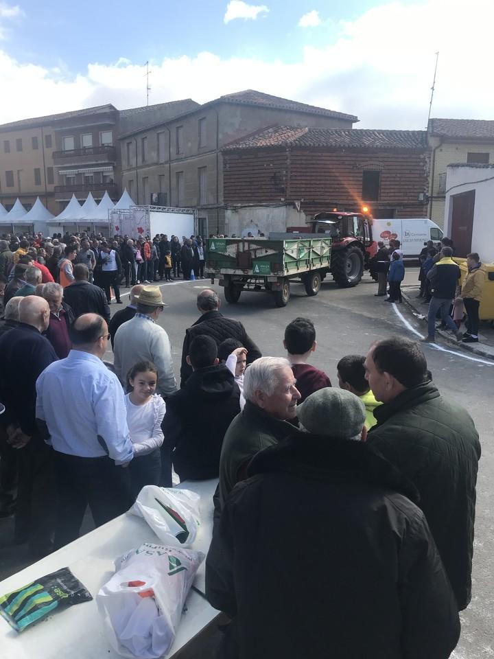 Feria de San José 2019