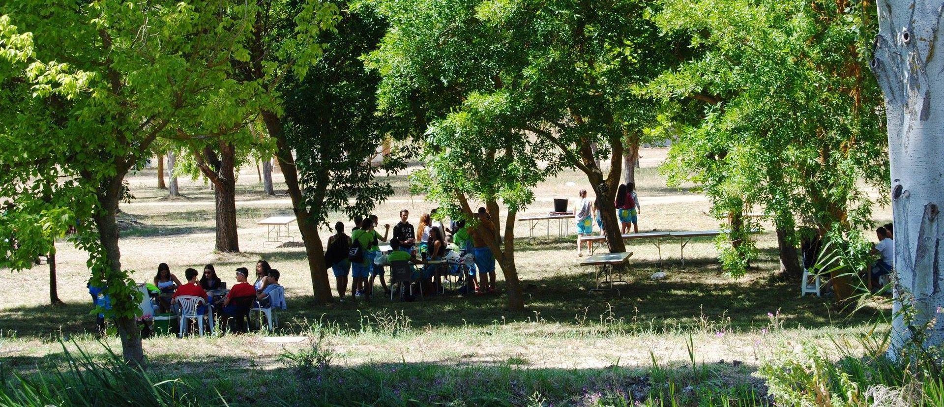 Día de las Peñas 2018