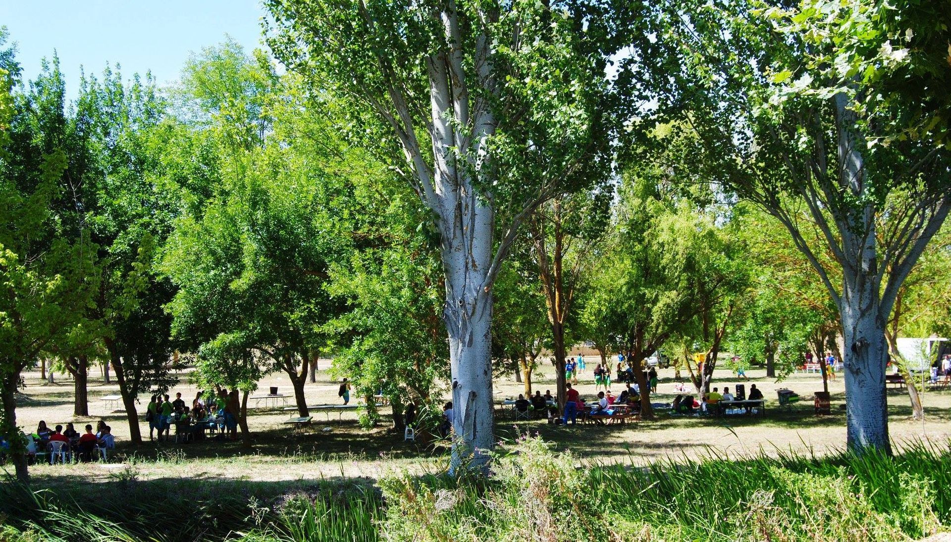 Día de las Peñas 2018