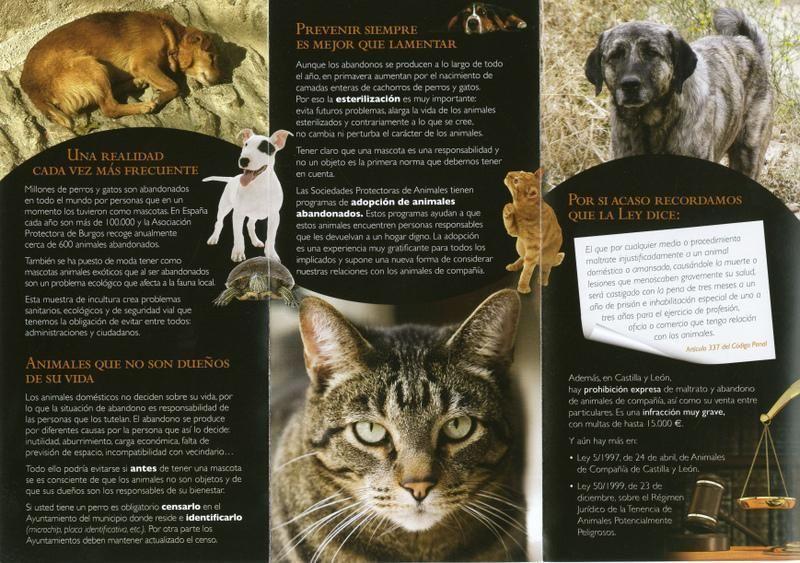 Campaña "Tu humanidad puede evitar el abandono animal"