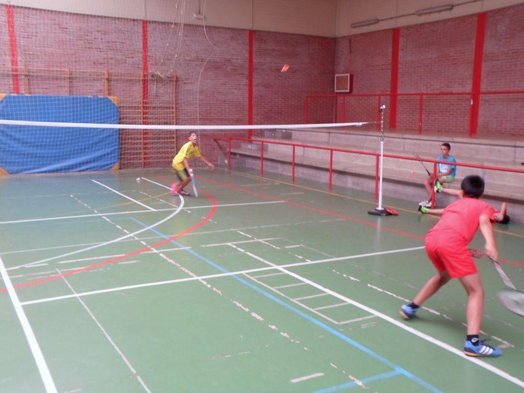 Campeonato de Badminton
