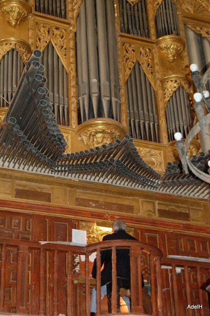 Concierto de Órgano